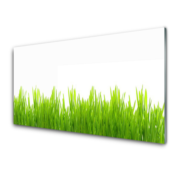 Tableaux sur verre Herbe nature vert