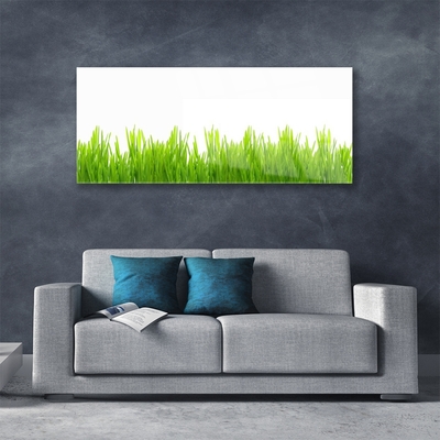 Tableaux sur verre Herbe nature vert