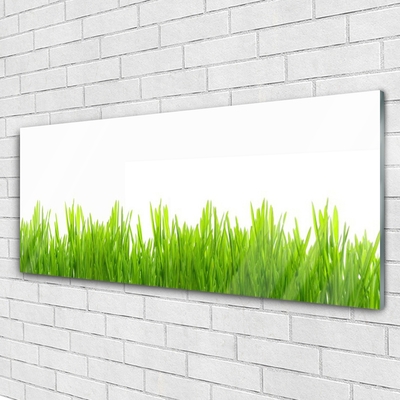 Tableaux sur verre Herbe nature vert