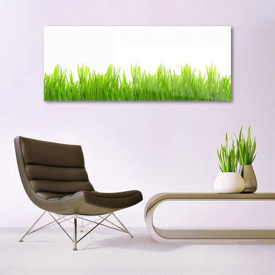 Tableaux sur verre Herbe nature vert