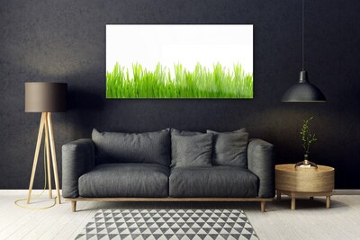 Tableaux sur verre Herbe nature vert