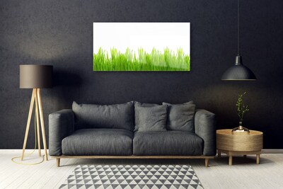 Tableaux sur verre Herbe nature vert