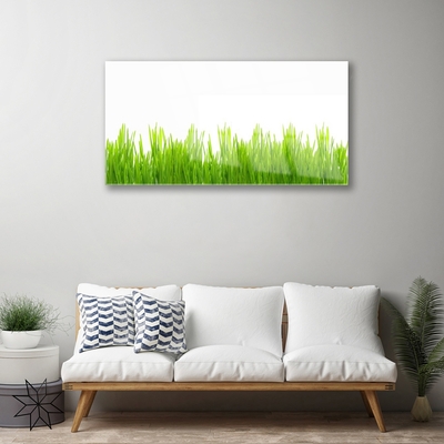 Tableaux sur verre Herbe nature vert