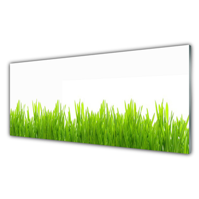 Tableaux sur verre Herbe nature vert