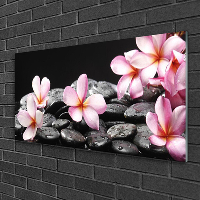 Tableaux sur verre Pierres fleurs floral rose noir