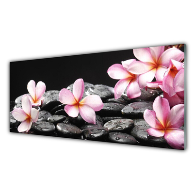 Tableaux sur verre Pierres fleurs floral rose noir