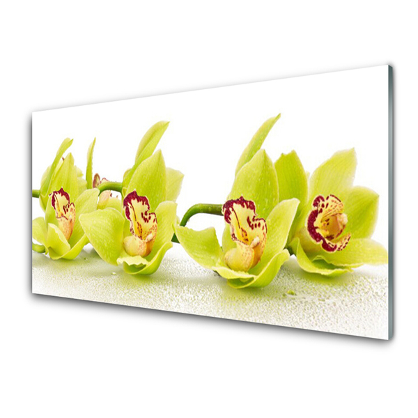 Tableaux sur verre Fleurs floral vert