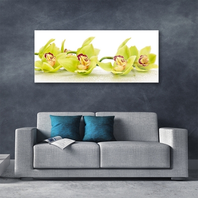 Tableaux sur verre Fleurs floral vert