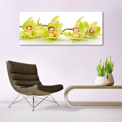 Tableaux sur verre Fleurs floral vert