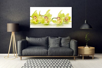 Tableaux sur verre Fleurs floral vert