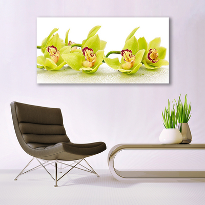 Tableaux sur verre Fleurs floral vert