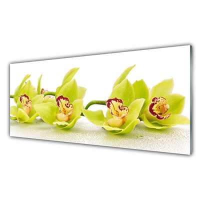 Tableaux sur verre Fleurs floral vert