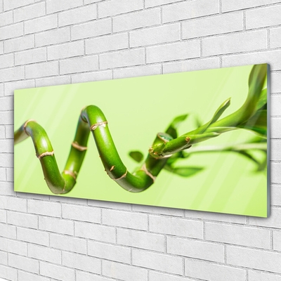 Tableaux sur verre Bambou floral vert