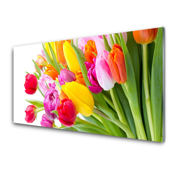 Tableaux sur verre Tulipes floral multicolore