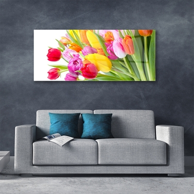 Tableaux sur verre Tulipes floral multicolore