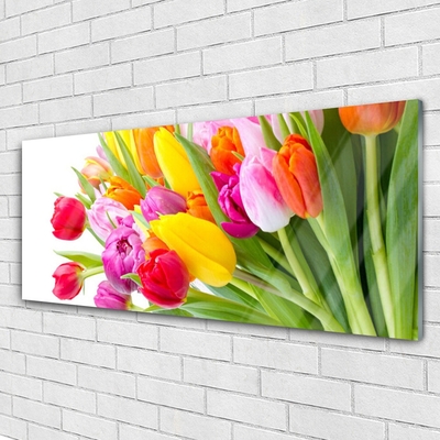 Tableaux sur verre Tulipes floral multicolore