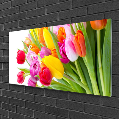 Tableaux sur verre Tulipes floral multicolore