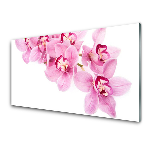 Tableaux sur verre Fleurs floral rose