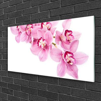 Tableaux sur verre Fleurs floral rose