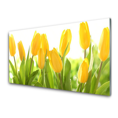 Tableaux sur verre Tulipes floral jaune vert