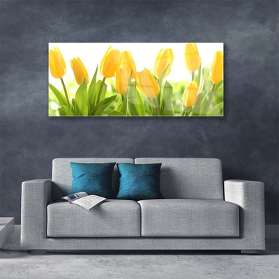 Tableaux sur verre Tulipes floral jaune vert