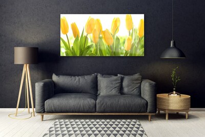 Tableaux sur verre Tulipes floral jaune vert