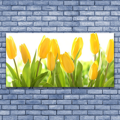 Tableaux sur verre Tulipes floral jaune vert