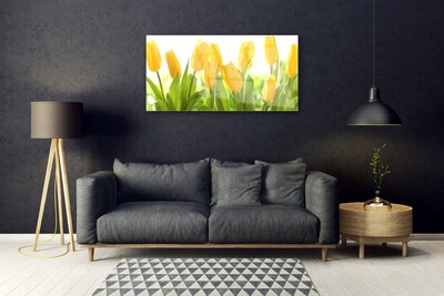 Tableaux sur verre Tulipes floral jaune vert