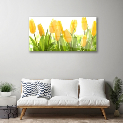 Tableaux sur verre Tulipes floral jaune vert