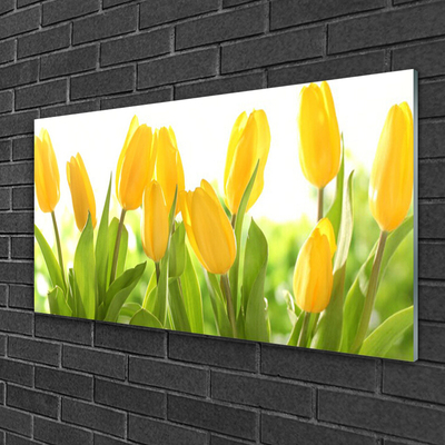 Tableaux sur verre Tulipes floral jaune vert