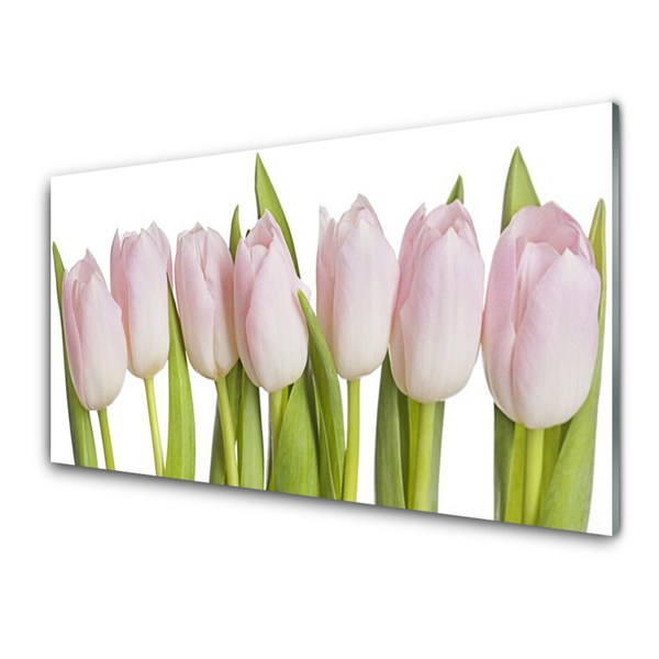Tableaux sur verre Tulipes floral rose vert