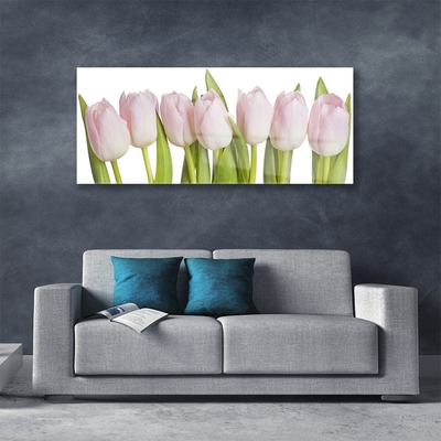 Tableaux sur verre Tulipes floral rose vert