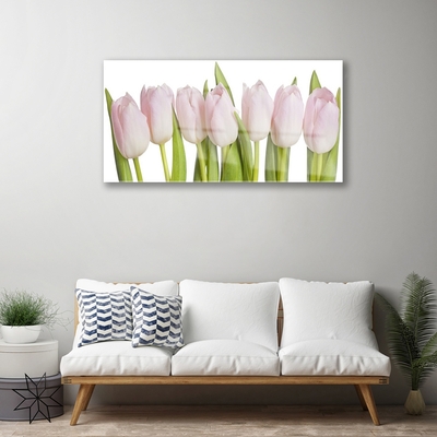 Tableaux sur verre Tulipes floral rose vert