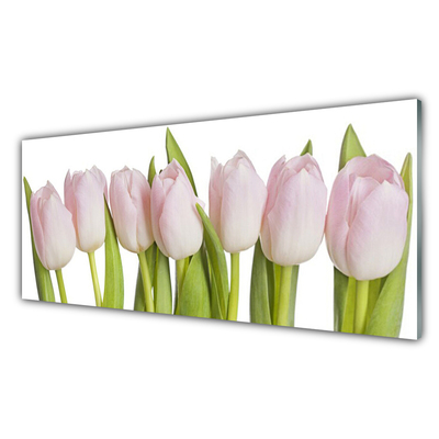 Tableaux sur verre Tulipes floral rose vert