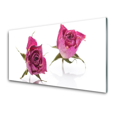 Tableaux sur verre Roses floral rouge vert