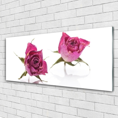 Tableaux sur verre Roses floral rouge vert