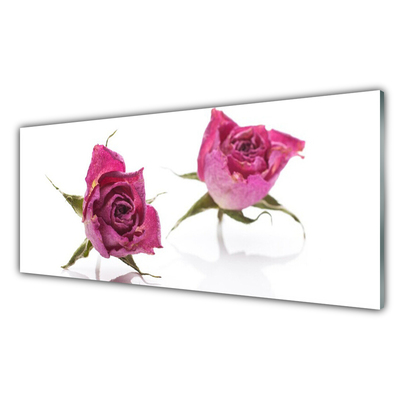 Tableaux sur verre Roses floral rouge vert