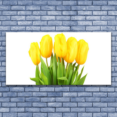 Tableaux sur verre Tulipes floral jaune