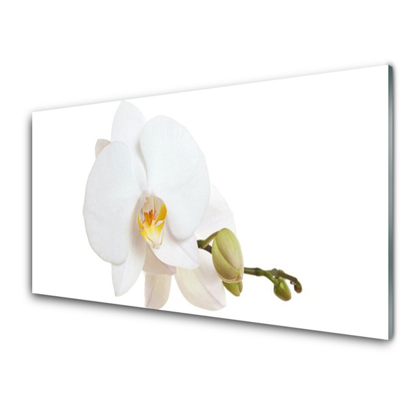 Tableaux sur verre Fleur floral blanc