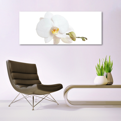 Tableaux sur verre Fleur floral blanc