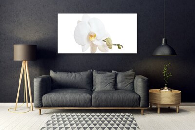 Tableaux sur verre Fleur floral blanc