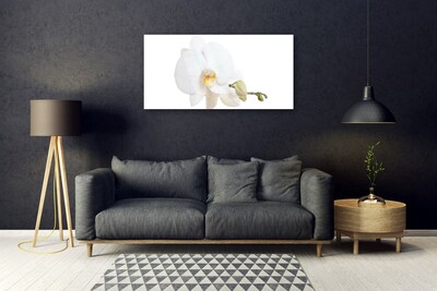 Tableaux sur verre Fleur floral blanc