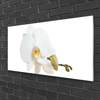 Tableaux sur verre Fleur floral blanc