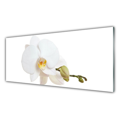 Tableaux sur verre Fleur floral blanc