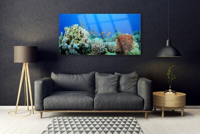 Tableaux sur verre Récif de corail nature multicolore