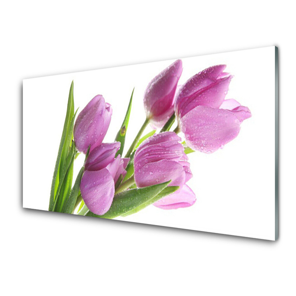 Tableaux sur verre Tulipes floral rose vert