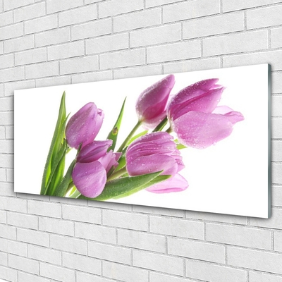 Tableaux sur verre Tulipes floral rose vert