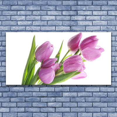 Tableaux sur verre Tulipes floral rose vert