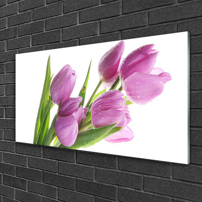 Tableaux sur verre Tulipes floral rose vert