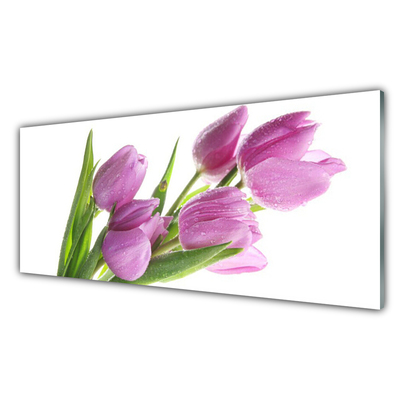 Tableaux sur verre Tulipes floral rose vert